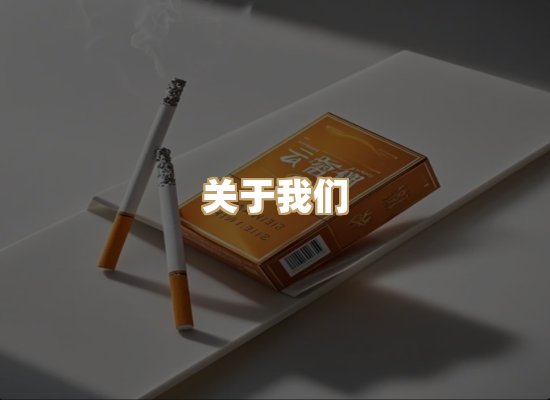 关于御龙烟网